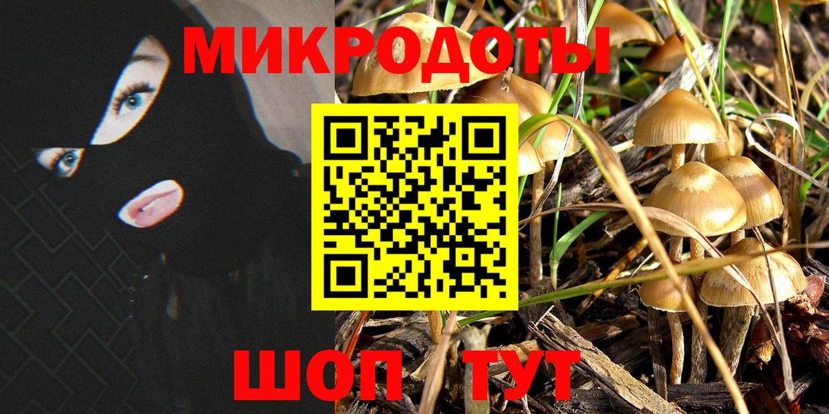 Псилоцибиновые грибы Psilocybe  Галлюциногенные грибы ЛСД  Вход с VPN  Белая Калитва 